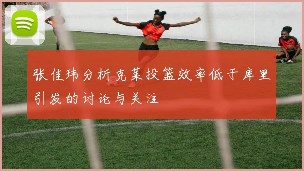 张佳玮分析克莱投篮效率低于库里引发的讨论与关注