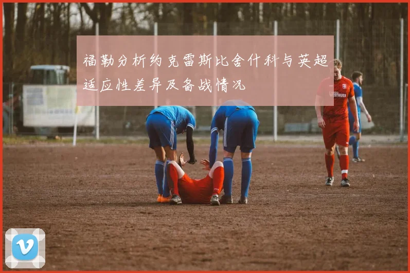 福勒分析约克雷斯比舍什科与英超适应性差异及备战情况