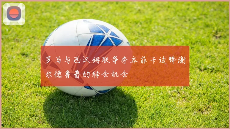 罗马与西汉姆联争夺本菲卡边锋谢尔德鲁普的转会机会